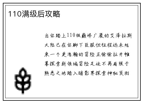 110满级后攻略